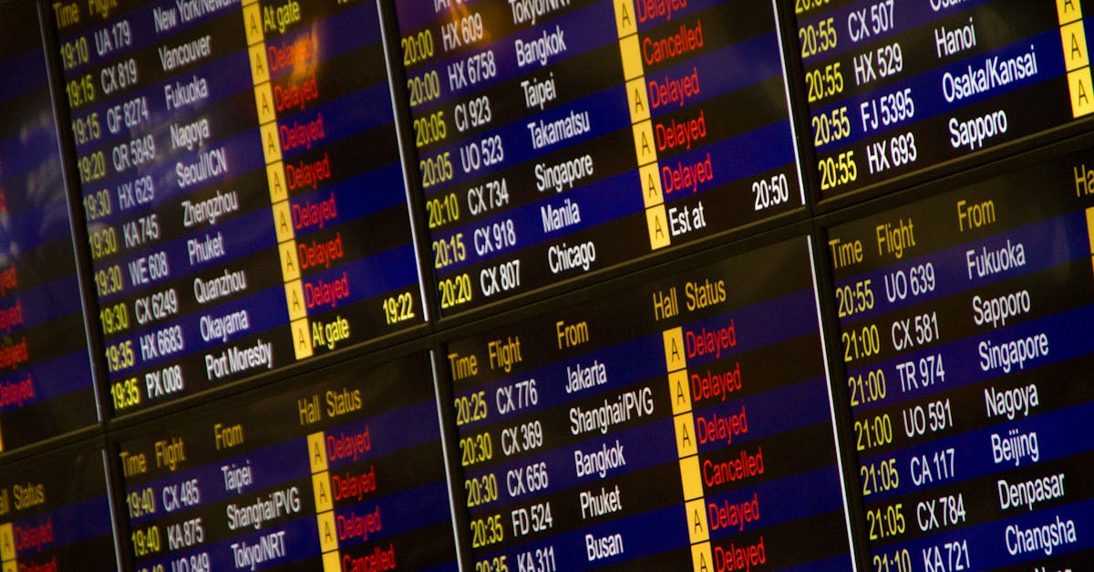 swoop flight delayed or canceled