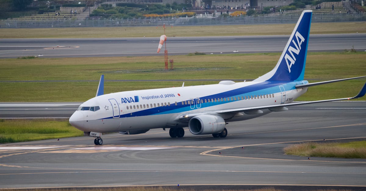 How to Contact a Real Person at All Nippon Airways – Tips & Support Info (2025)